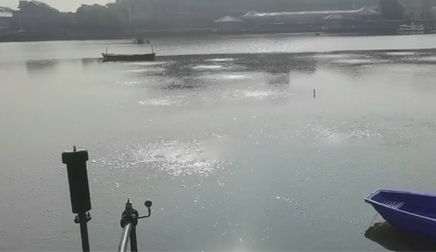 黑偉沉水風(fēng)機助力杭州蕭山區某河道生態(tài)治理